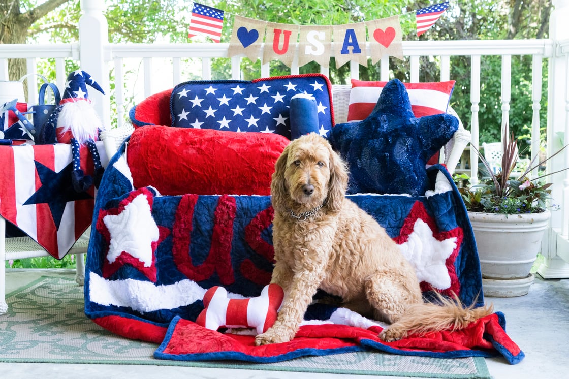 July 4th - Shannon Fabrics USA